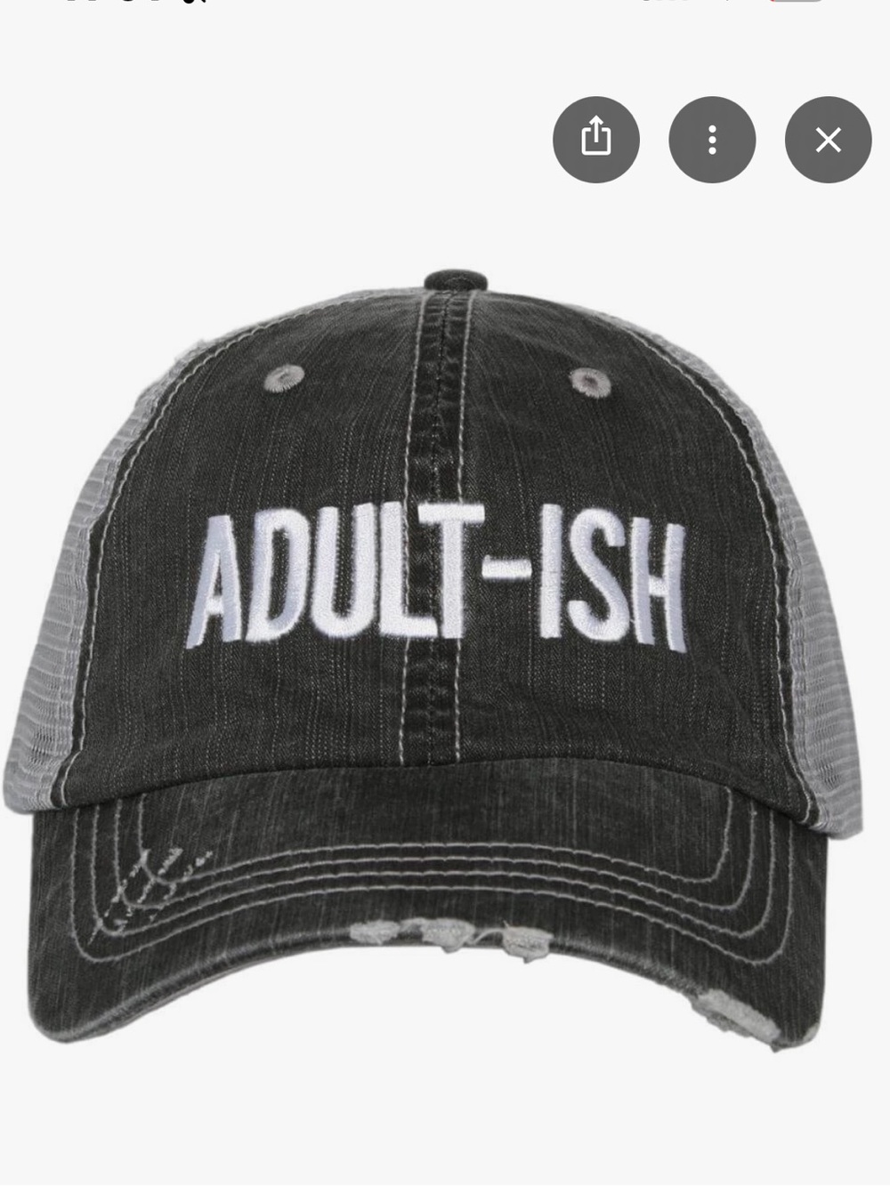 Adult-ish Distressed Grey Dad cap